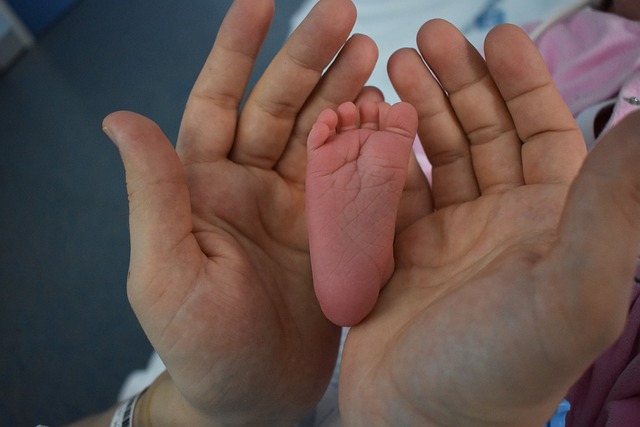 작은아기발사진